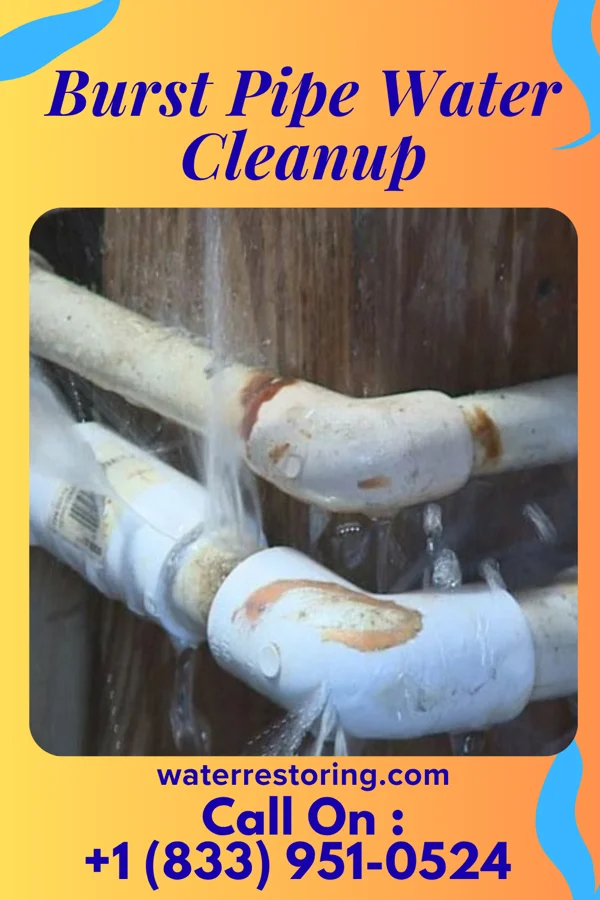 Burst Pipe Water Cleanup in Kingston, UT