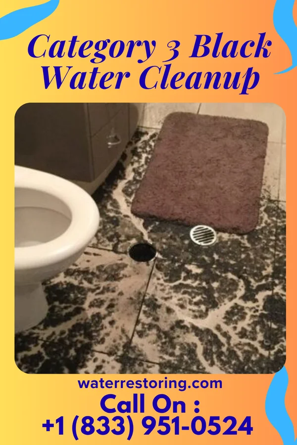 Category 3 Black Water Cleanup in Kingston, UT