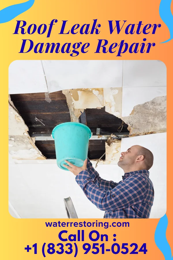 Roof Leak Water Damage Repair in Kingston, UT