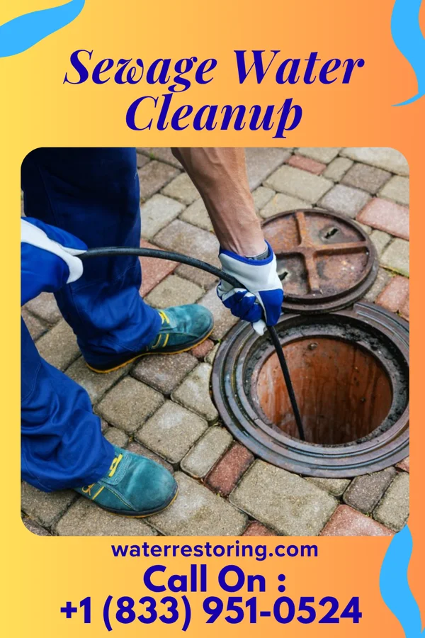 Sewage Water Cleanup in Kingston, UT